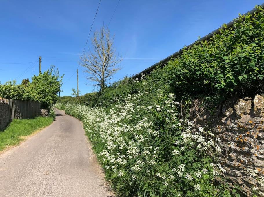 The Little Stable At Flos Cottages West Coker Exteriér fotografie